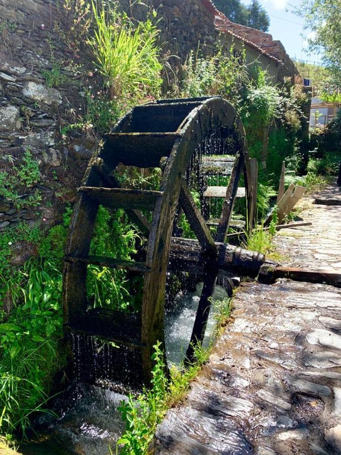 O Medronheiro Villa Penacova Kültér fotó